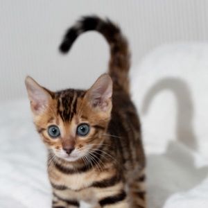 Meet your Posher, Cristina